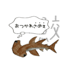 魚のあいさつ①（個別スタンプ：5）