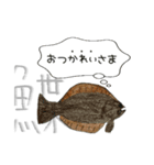 魚のあいさつ①（個別スタンプ：6）