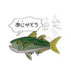 魚のあいさつ①（個別スタンプ：7）