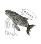 魚のあいさつ①（個別スタンプ：8）