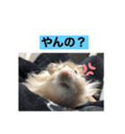 おやき1（個別スタンプ：1）