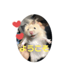おやき1（個別スタンプ：2）
