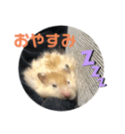おやき1（個別スタンプ：4）