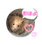 おやき1（個別スタンプ：6）
