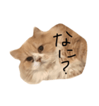 ぐりとくっく（個別スタンプ：2）