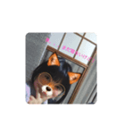 jyoniiii（個別スタンプ：6）