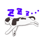 何気ないボクの日常（個別スタンプ：16）