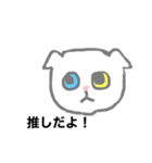 推しの白い猫（個別スタンプ：1）