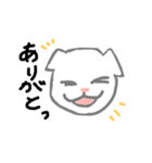 推しの白い猫（個別スタンプ：5）