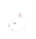 秋田犬 白ちゃん（個別スタンプ：5）