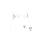 秋田犬 白ちゃん（個別スタンプ：13）