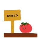 憎めないお野菜スタンプ（個別スタンプ：4）