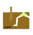 憎めないお野菜スタンプ（個別スタンプ：29）