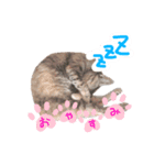 なっちゃん 綾芽のスタンプ（個別スタンプ：4）