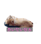 かまってちゃん（ねこ）（個別スタンプ：6）