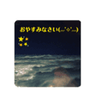 taraco test（個別スタンプ：8）