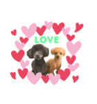 モナ ＆ アンジュ  Tiny poodle（個別スタンプ：2）