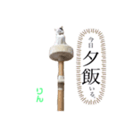 森のすももとりん（個別スタンプ：5）