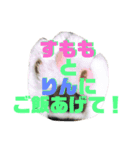 森のすももとりん（個別スタンプ：8）