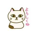 なんとなく日々を過ごすねこ（個別スタンプ：7）