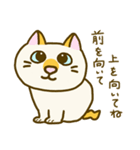 なんとなく日々を過ごすねこ（個別スタンプ：25）