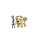 ラブラドール犬_つやぴかクリーム丸（個別スタンプ：1）