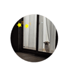 ペキシーズー ロク 第三段（個別スタンプ：2）