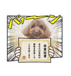色々すずちゃん（個別スタンプ：1）