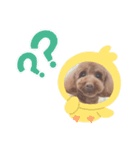 色々すずちゃん（個別スタンプ：6）