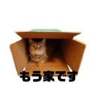 エマ助（個別スタンプ：2）