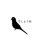すてきなインコ（個別スタンプ：3）