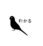 すてきなインコ（個別スタンプ：4）