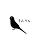 すてきなインコ（個別スタンプ：5）