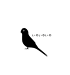 すてきなインコ（個別スタンプ：6）