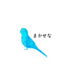 すてきなインコ（個別スタンプ：7）