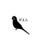 すてきなインコ（個別スタンプ：8）