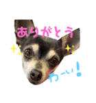 あんたんですよっ！（個別スタンプ：1）