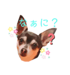 あんたんですよっ！（個別スタンプ：3）