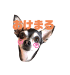 あんたんですよっ！（個別スタンプ：4）