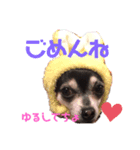 あんたんですよっ！（個別スタンプ：5）