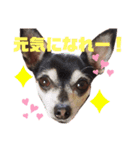 あんたんですよっ！（個別スタンプ：6）