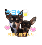 あんたんですよっ！（個別スタンプ：7）
