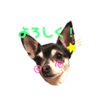 あんたんですよっ！（個別スタンプ：8）