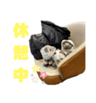 ウォンくんスタンプ（個別スタンプ：5）