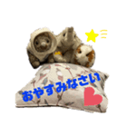 ウォンくんスタンプ（個別スタンプ：6）
