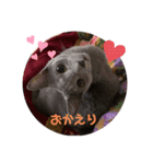 可愛いシュール君（個別スタンプ：3）