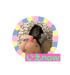 可愛いシュール君（個別スタンプ：6）