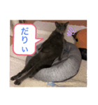 可愛いシュール君（個別スタンプ：7）