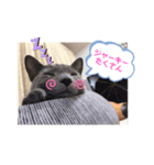 可愛いシュール君（個別スタンプ：8）