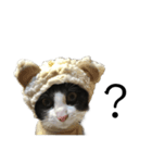 ふくちゃんからひとこと（個別スタンプ：6）